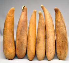 People Gourds