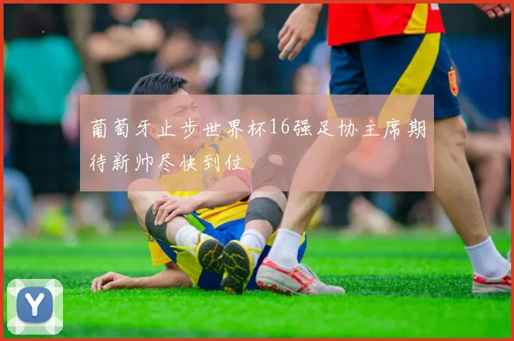 葡萄牙止步世界杯16强足协主席期待新帅尽快到位