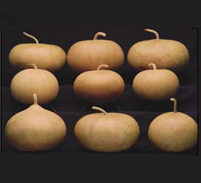 Canteen Gourds
