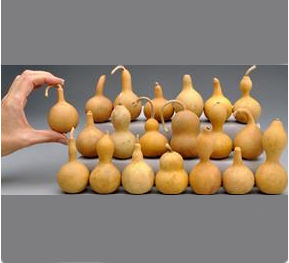 Ornament Gourds